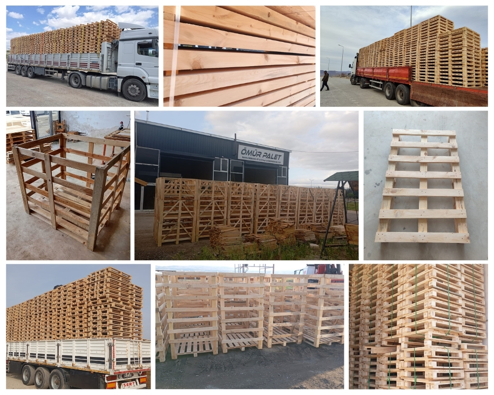 IJmuiden Houten Kisten, Europallets Groothandel Kopen